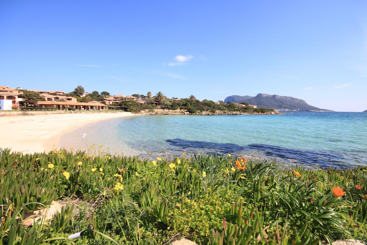 Apartment In S'Abba E Sa Pedra With Pool Golfo Aranci Exterior photo