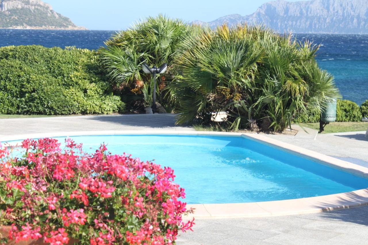 Apartment In S'Abba E Sa Pedra With Pool Golfo Aranci Exterior photo